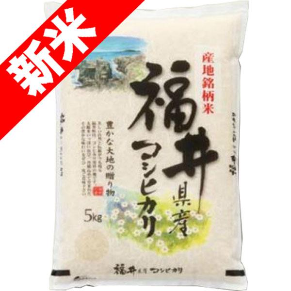 新米 令和5年産 お米 5kg 福井県産 コシヒカリ 玄米 白米 7分づき 5分づき 3分づき 出荷日精米 送料無料