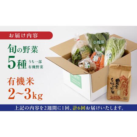 ふるさと納税 新米 有機米 2kg 旬の野菜 5種セット 詰め合わせ 野菜詰め合わせ 熊本県産有機野菜 山都町産有機野菜 産地直送.. 熊本県山都町