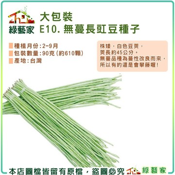 【綠藝家】大包裝E10.無蔓長豇豆(無蔓矮腳品種)種子90克 株矮 白色豆莢，莢長約45公分 豆類大包裝