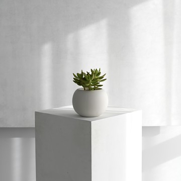 【烟花】盆栽選品 石蓮三兄弟 球型霧面陶瓷盆