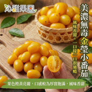 沁甜果園 美濃 無毒 金瑩小番茄 3000g±10%/盒 水果 番茄 送禮 過年 禮盒