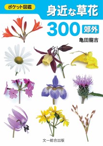 身近な草花300 郊外 亀田龍吉