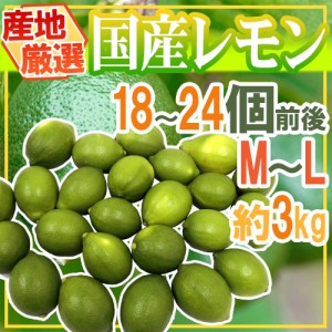 ”国産レモン” 約3kg 18～24玉前後 M～L 産地厳選 送料無料