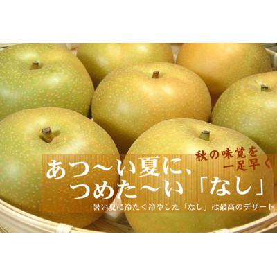 ふるさと納税 紀の川市 梨(なし)幸水品種 [約4kg]和歌山県産 (果実サイズおまかせ) 紀伊国屋文左衛門本舗の梨 幸水