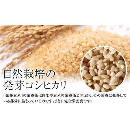 ふるさと納税 令和5年・新潟県産｜JAS有機栽培アイガモ農法 コシヒカリ 発芽玄米 2kg 新潟県上越市