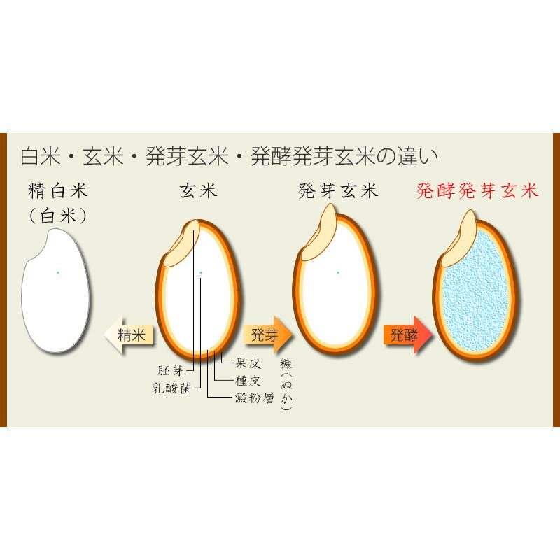 玄米 無洗 米 送料無料 ビタミン ミネラル 食物繊維 植物性乳酸菌 GABA 酵素 特許製法の発酵 効果 無添加国内産 植物性乳酸菌が玄米の約10万倍「meru2」