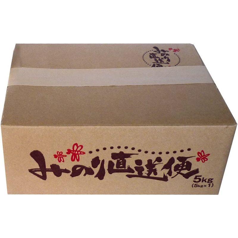 無洗米 高級銘柄米 新潟県産 コシヒカリ 10kg（5kg×2袋）