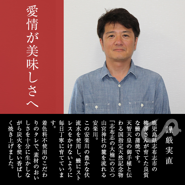 熟練の技が冴える！うなぎの柳澤 鰻蒲焼き8尾(計1360g) f0-023