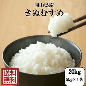 新米 米 20kg こめ お米 送料無料 お試し 令和5年産 岡山県産きぬむすめ20kg(5kg×4袋)