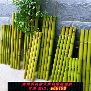 【台灣公司 可開發票】竹排架竹墊配件竹子裝飾置物架子竹筒陽臺裝飾布置魚缸裝飾流水器