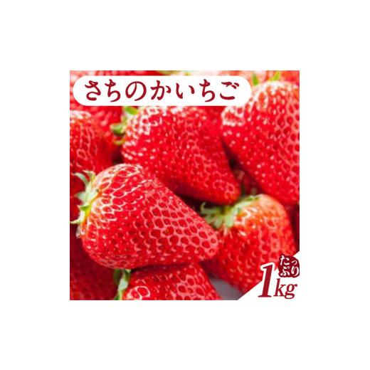 ふるさと納税 和歌山県 紀の川市 さちのかいちご 約1kg JA紀の里農業協同組合 《2024年2月上旬-3月末頃より順次出荷》 和歌山県 紀の川市 果物 フルーツ