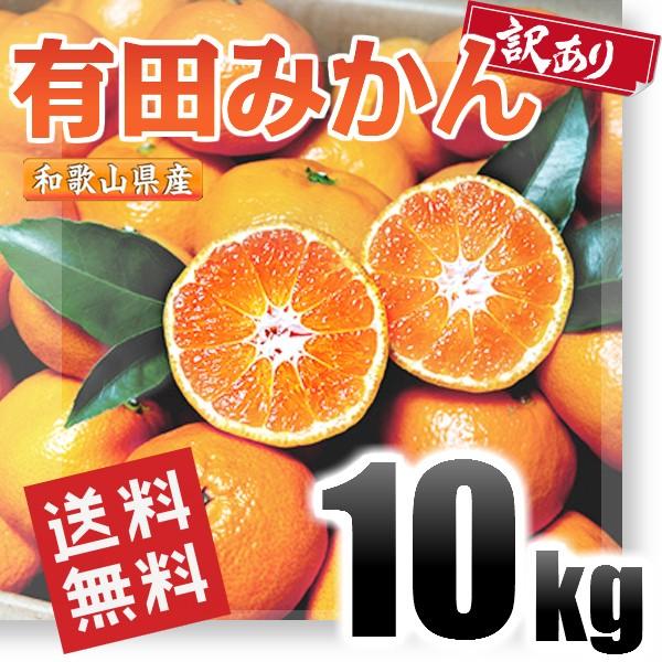 有田みかん 訳あり 10kg 和歌山県産 送料無料(北海道、沖縄県、東北地方除く) ミカン みかん 蜜柑 温州みかん ご自宅用 家庭用 果物 産地直送