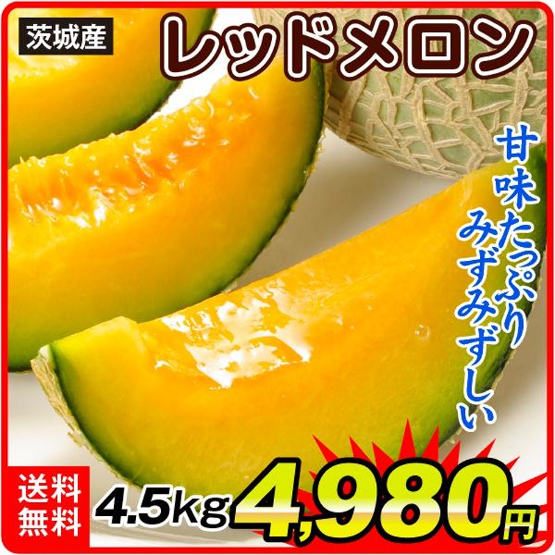 メロン 茨城産 レッドメロン 約4.5kg 赤肉 品種おまかせ 送料無料 食品 