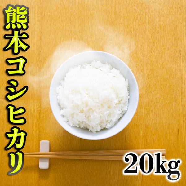 お米 米 20kg 白米 熊本県産 こしひかり あすつく 新米 令和5年産 コシヒカリ 5kg4個 くまもとのお米 富田商店 とみた商店