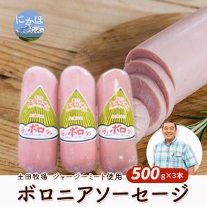 ふるさと納税 生食OK！ジャージーミート使用 ボロニアソーセージ500g×3本 秋田県にかほ市