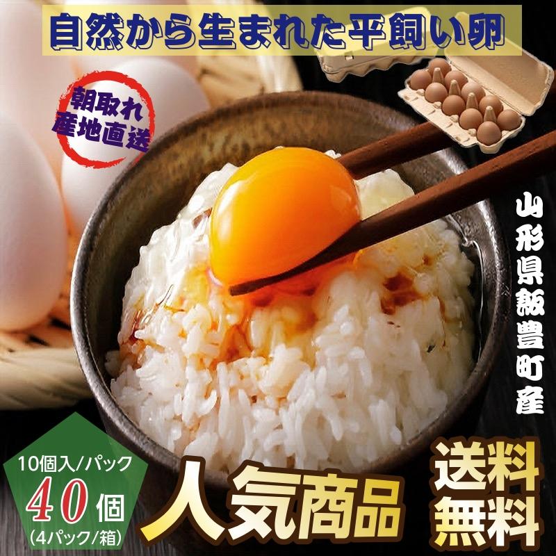 平飼い卵 山形県飯豊町産 ４０個（１０個入 パック×４パック）産地直送 送料無料