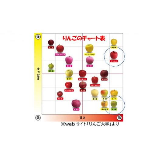 ふるさと納税 青森県 弘前市 贈答用 サンふじ・王林詰め合わせ 約5kg