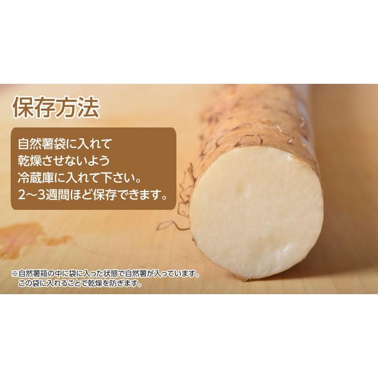 山形県産大石田 雪下 自然薯 じねんじょ 秀品 1キロ（2〜3本入り） 産地直送 とろろ ご飯 冷蔵 同梱不可 送料無料