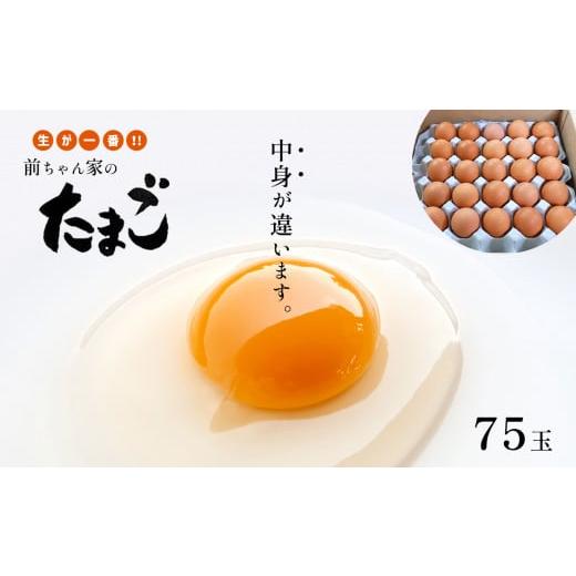 ふるさと納税 熊本県 玉名市 新鮮 生が一番 前ちゃん家のたまご 赤玉子 75玉