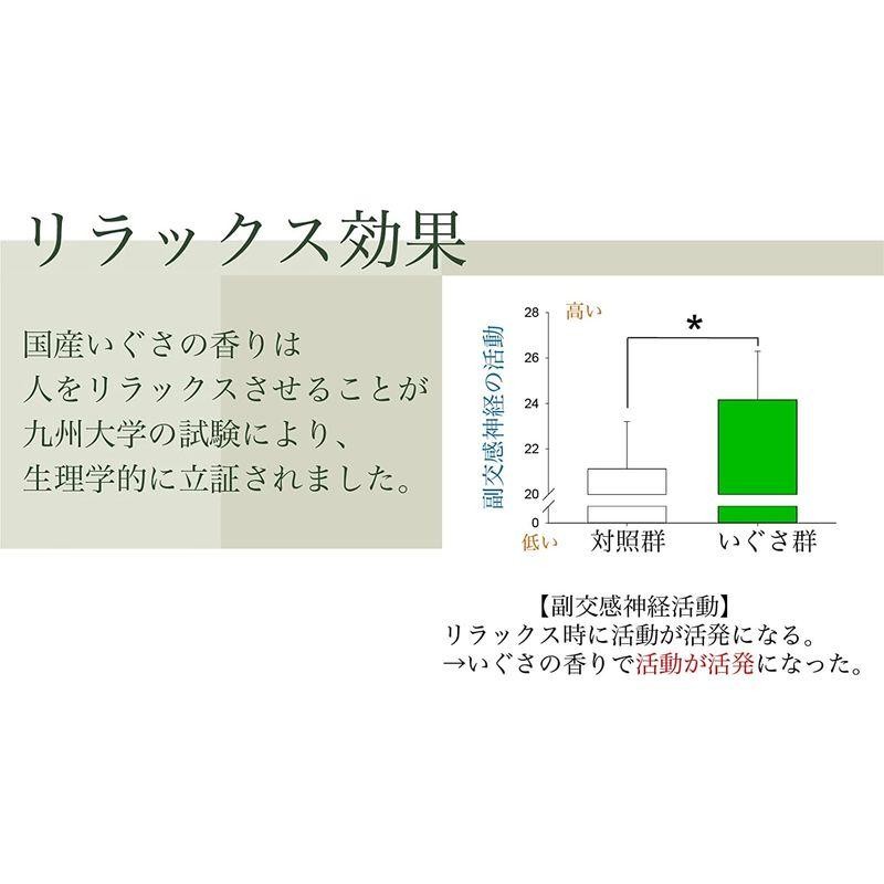 IGUNEMU イグサ 畳の上に敷くマット 日本国産 畳マット ラグ