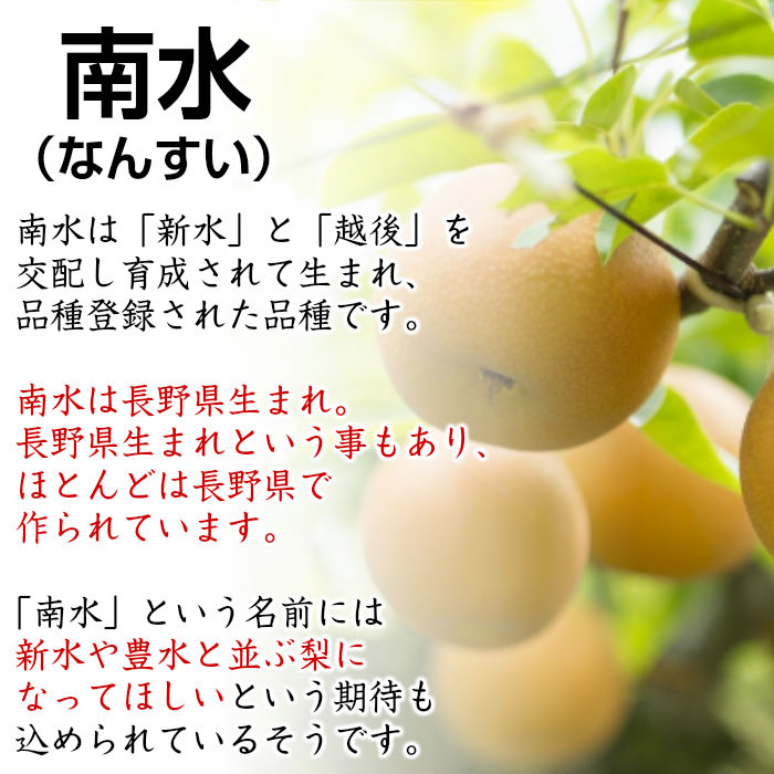 [最短順次発送]  南水（なんすい) 長野県のブランド梨 プレミアム ２kg以上 大玉４玉-６玉 化粧箱 長野県産 秋ギフト  果実ギフト