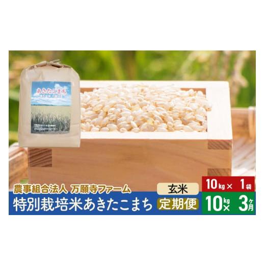 ふるさと納税 秋田県 美郷町 《定期便3ヶ月》令和5年産 特別栽培米あきたこまち 10kg（10kg×1袋）×3回 計30kg 3か月 3ヵ月 3カ月 3ケ月