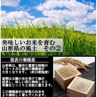 ふるさと納税 最上町 特別栽培米はえぬき　玄米 5kg　山形県産　西塚農場のお米