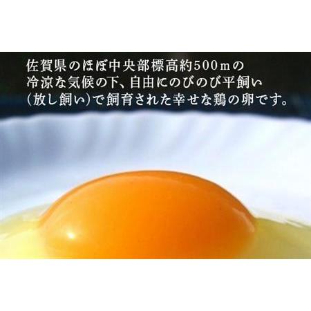 ふるさと納税 放し飼い！七山たまご 80個箱 (大玉) 玉子 生卵 鶏卵 佐賀県唐津産 佐賀県唐津市