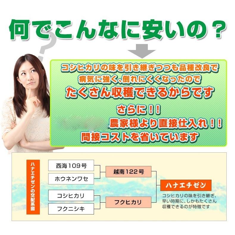 新米 米 ハナエチゼン 15kg  5kg×3袋 福井県産 白米 令和5年産 送料無料