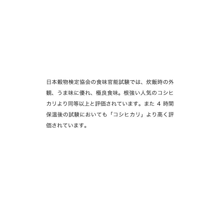 米 10kg お米 つきあかり 新米 令和5年 白米（10kg×1袋）栃木県産