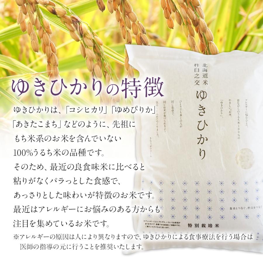 新米 特別栽培米 ゆきひかり 白米 4kg 減農薬 農家直送 令和5年産 北海道産米 送料無料 12 10はクーポンで5％OFF