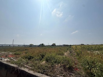 大洲鄰樹谷大道2.6分一般農地 ｜台南市新市區新大洲段