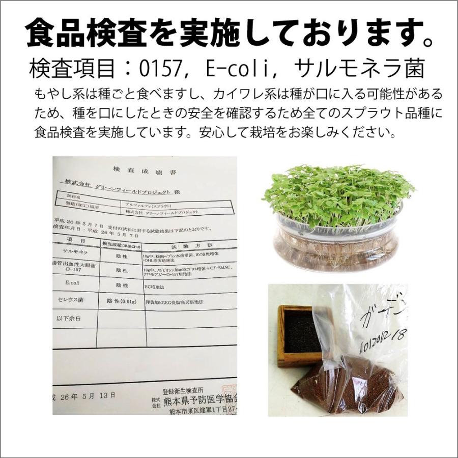オーガニックひよこ豆 ガルバンゾ 5袋 (送料無料)