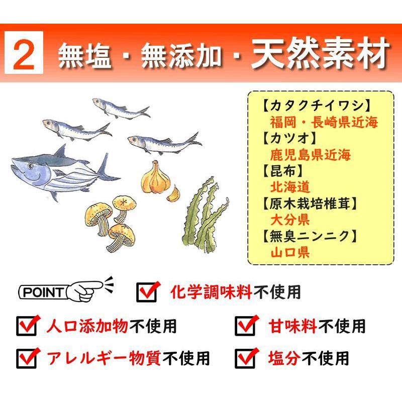 だし栄養スープ 500g　千年前の食品舎×3個セット