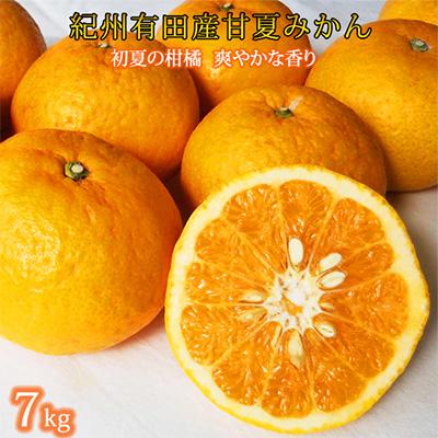 ふるさと納税 日高町 紀州和歌山産旬の柑橘セット(清見・なつみ・甘夏)全3回