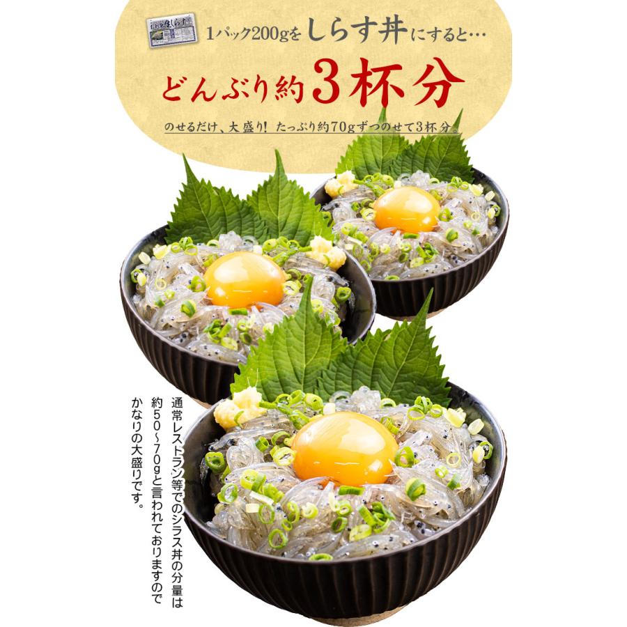 生シラス しらす お刺身生しらす1kg（200g×5パック）送料無料 瀬戸内海産 海鮮丼 yd5[[生シラス200g-5p]