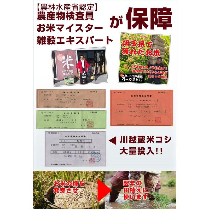 限定価格セール！】 令和4年度産 長野県産 信州安曇野 コシヒカリ 28kg