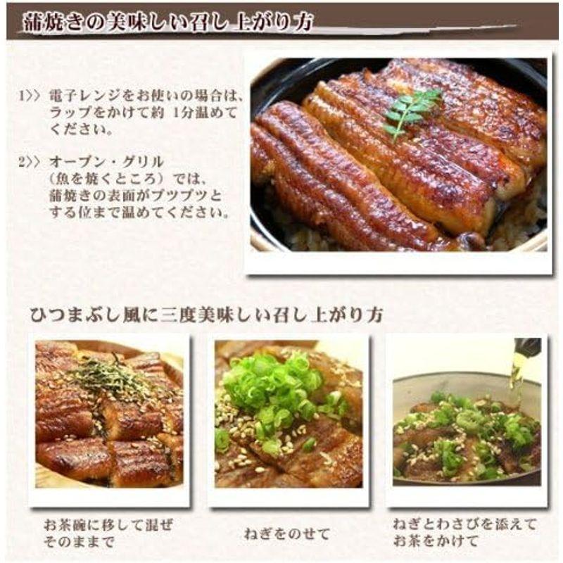 お中元 ギフト 浜名湖山吹 国産うなぎ串蒲焼き 5串セット