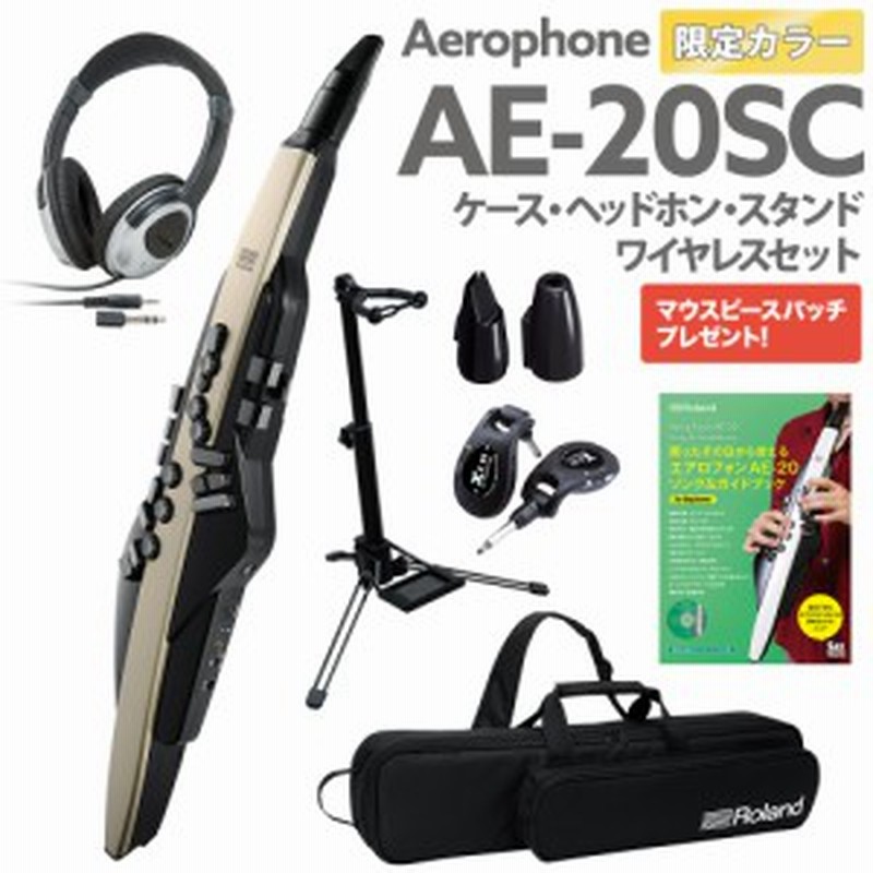 Roland AE-20 ケース ヘッドホン 専用スタンド ワイヤレス 交換用マウスピース ガイドブック セット エアロフォン ウインドシンセサイザー ローランド