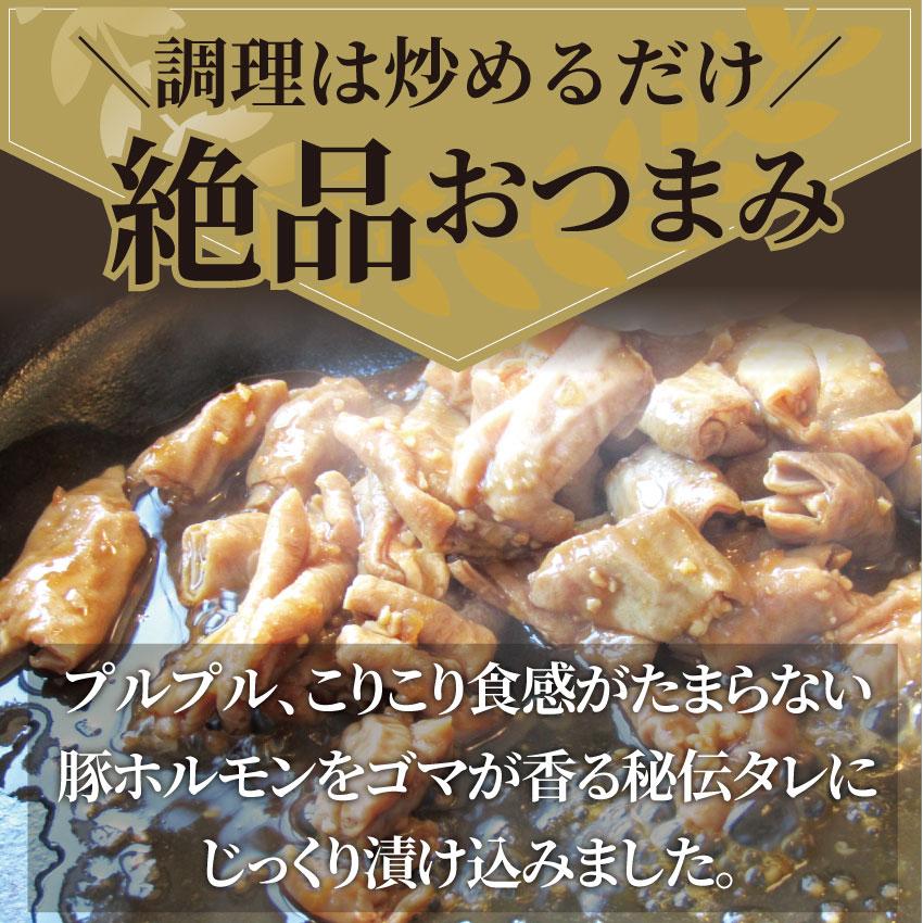 坂出ホルモン焼き スタミナ 国産 豚テッチャン 1kg (250g×4P) 焼肉 BBQ ホルモン焼き グルメ もつ キャンプ キャンプ飯＊送料無料