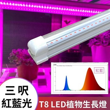 【君沛】紅藍光譜 3呎 T8植物燈管 25W 育苗首選 抑制徒長 鹿角蕨孢子苗 玫瑰補光 發根強化 專業生長燈