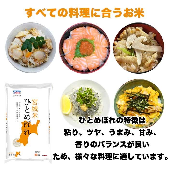 ひとめぼれ 5kg 5kg×1 令和5年産 宮城県産 米 お米 白米 おこめ 精米 単一原料米 ブランド米 5キロ   国内産 国産