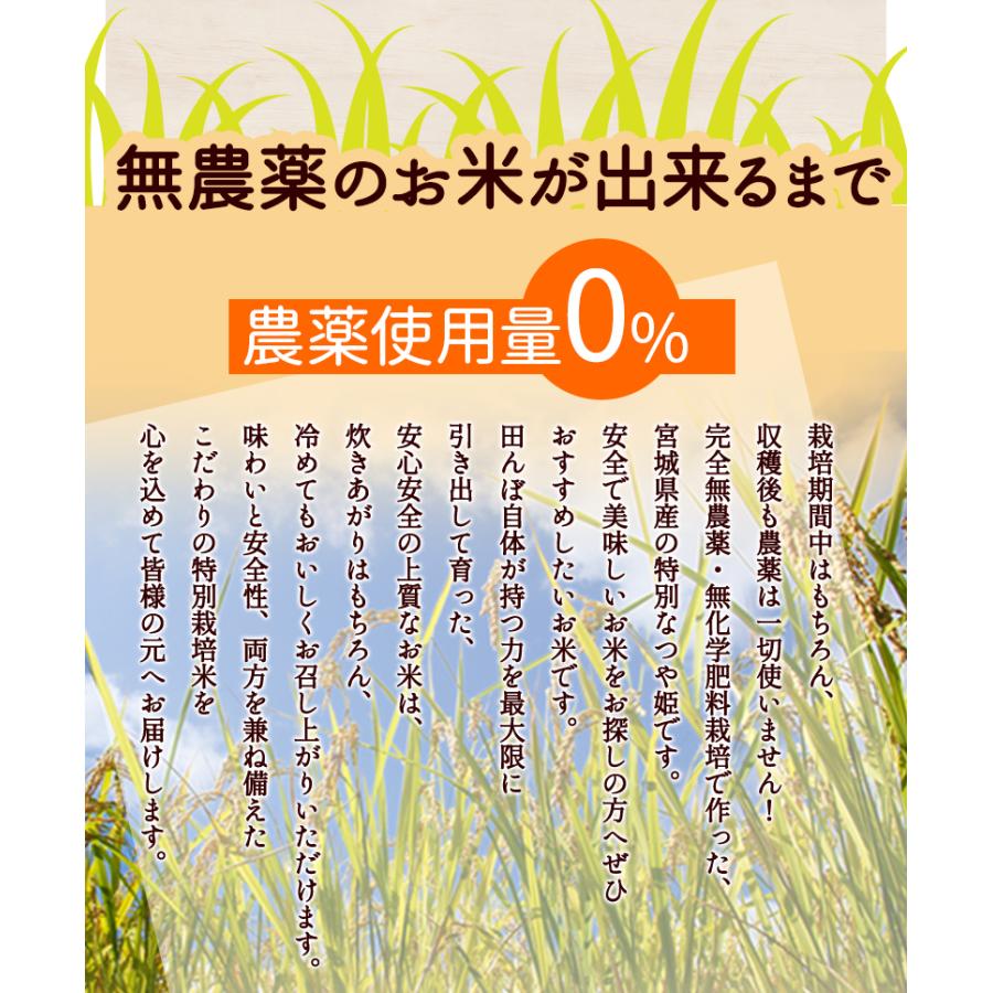 無農薬 玄米 米 3kg 無農薬 つや姫 令和5年宮城県産 新米入荷 送料無料 無農薬・無化学肥料栽培