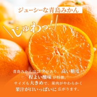 みかん 青島みかん 約10kg ミカン 蜜柑 フルーツ 果物 柑橘 柑橘類 柑橘系 1～2月発送 マルハマ