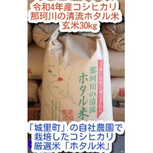 那珂川の清流ホタル米　玄米30kg 検査1等米令和4年産コシヒカリ　(玄米)