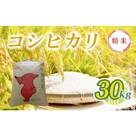 ふるさと納税 T04501令和5年産 コシヒカリ精米 30kg 千葉県大多喜町