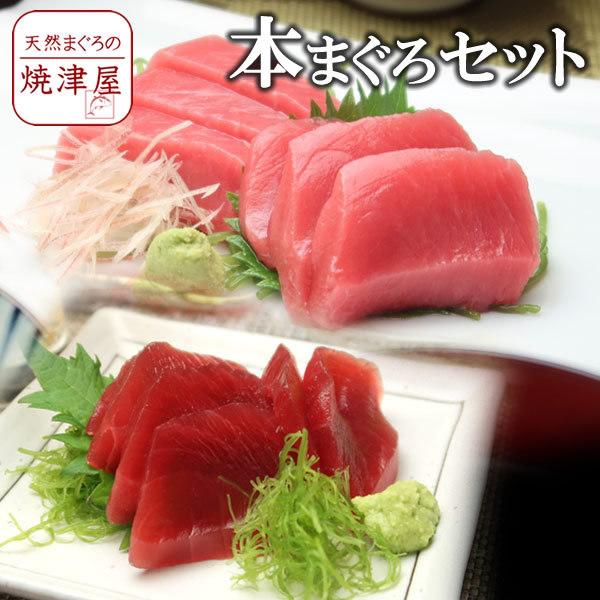 送料無料  天然 本まぐろセット赤身・中トロ 各約200ｇ（合計約400ｇ）お歳暮  年末年始 冬ギフト 贈答用 海鮮 ごちそう グルメ