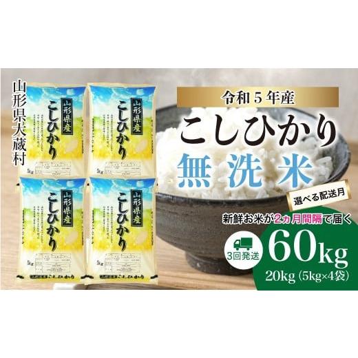 ふるさと納税 山形県 大蔵村 令和5年産 大蔵村 コシヒカリ  定期便 60kg （20kg×2か月間隔で3回お届け）