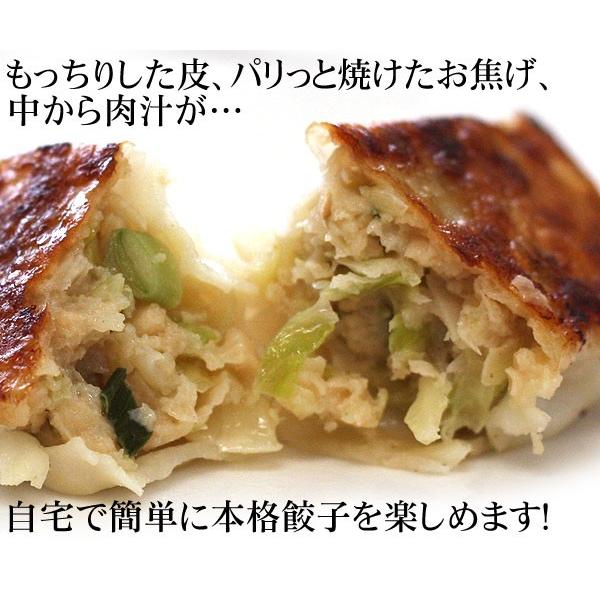 お取り寄せグルメ 大きな餃子 20個 瀬戸内六穀豚使用 餃子 取り寄せ 冷凍 ぎょうざ ギョウザ 国産豚肉 お取り寄せ ご飯のお供