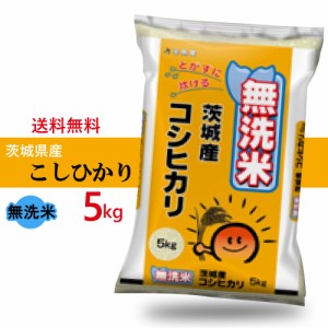 新米 令和5年産 送料無料 無洗米 茨城県産 コシヒカリ 精米 5kgX1袋 お米（※沖縄、離島は除く)　令和 5年 こしひかり 白米 精米 新しい